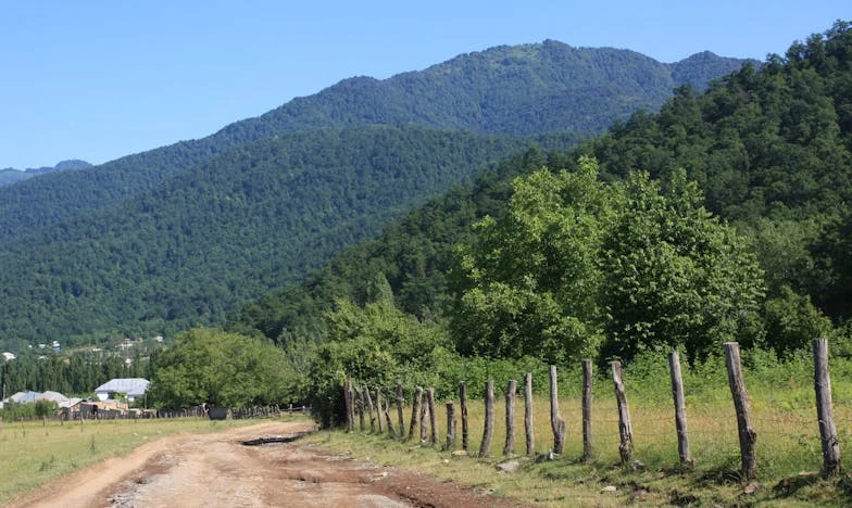 Vendimi i Vështirë: Kur Nëna U Kthye në Fshat