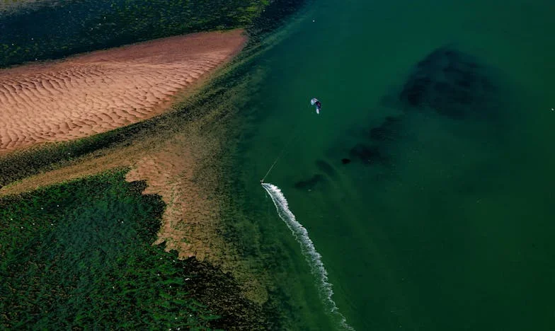 Бях любимецът на татко, а сега ме гони от дома ни