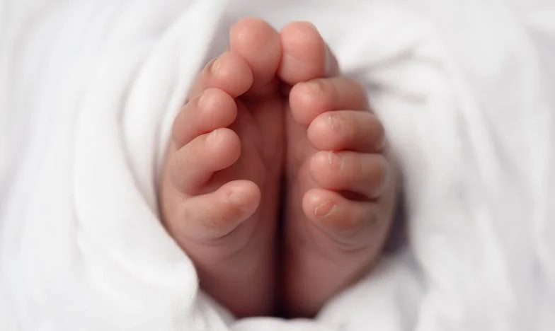 Когато алчността разделя кръвта: Историята на едно българско семейство