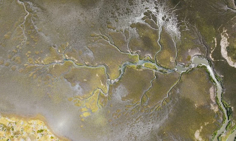 Когато детето ти избере другия родител: Изповедта на една майка