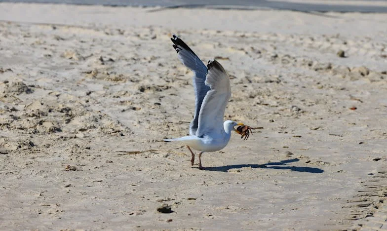 Когато домът ти се превърне в чуждо място: Историята на една предадена съпруга