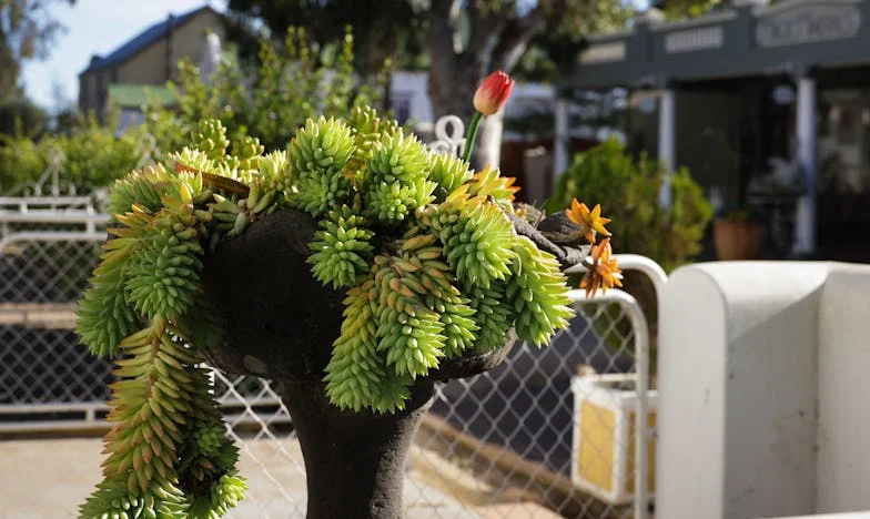 Остави ме в деветия месец, а след три години поиска прошка