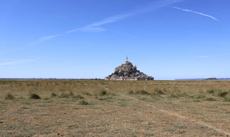 Седмицата, която преобърна всичко: Майчин избор между доверие и истина