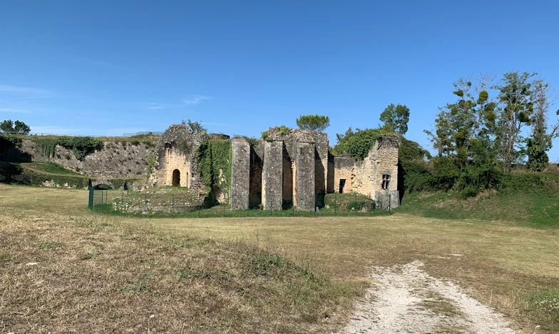 В капана на собствената си доброта: Как опитът ми да помогна на сина и снаха ми се обърна срещу мен