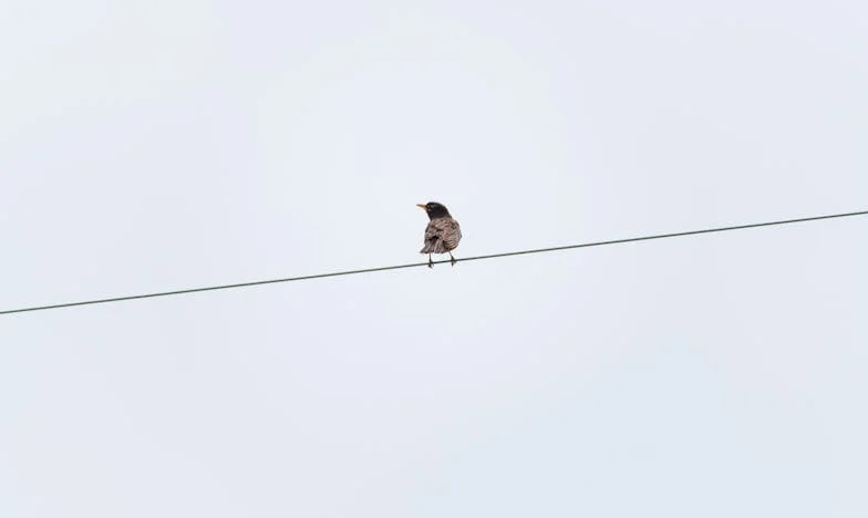 Дъщеря ни мисли, че не сме ѝ помогнали достатъчно за сватбата – забрави, че платихме всичко