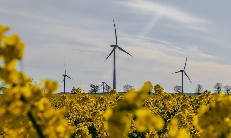 Дъщеря отказва да дари бъбрек на баща си насилник: Историята на Мария