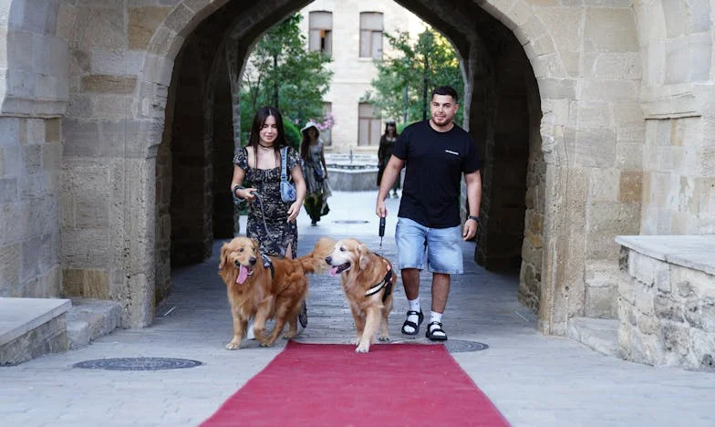 Дете на прага: Историята на една майка и едно изоставено момче