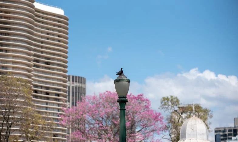 Донесох баща си вкъщи. След месец го върнах обратно. Сега всички ме мислят за безсърдечна.