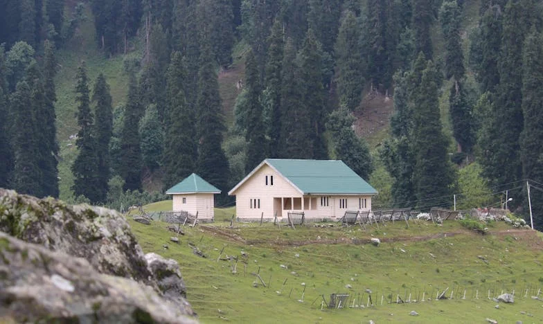 Истината за любовта: Между амбициите и сърцето