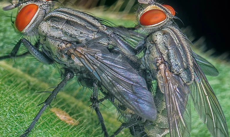 Изоставената къща на края на улицата: Историята на един предаден баща