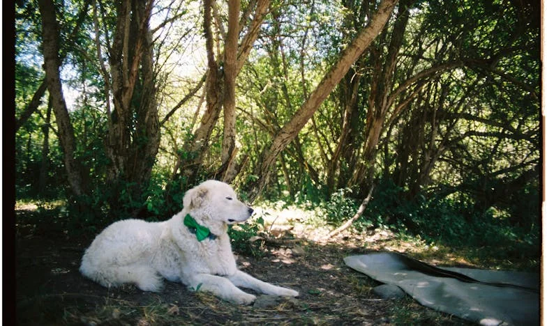 Изведнъж осъзнах, че искам развод след 30 години брак: Невидимата трансформация на една българска жена