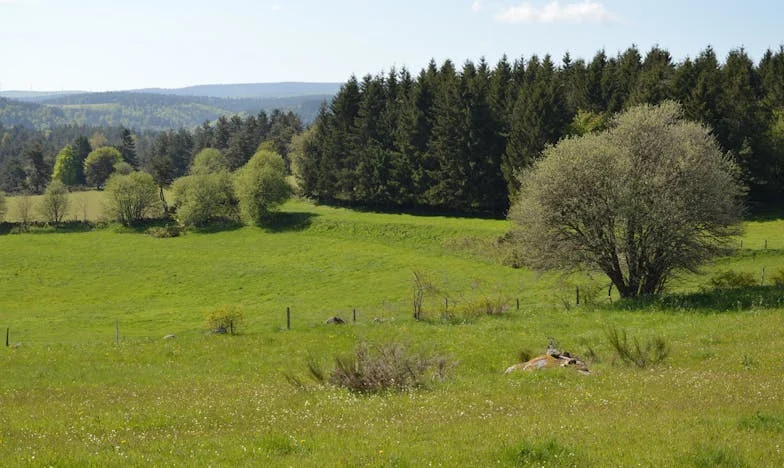 Ключът, който отключи всичко: Историята на една неканена близост