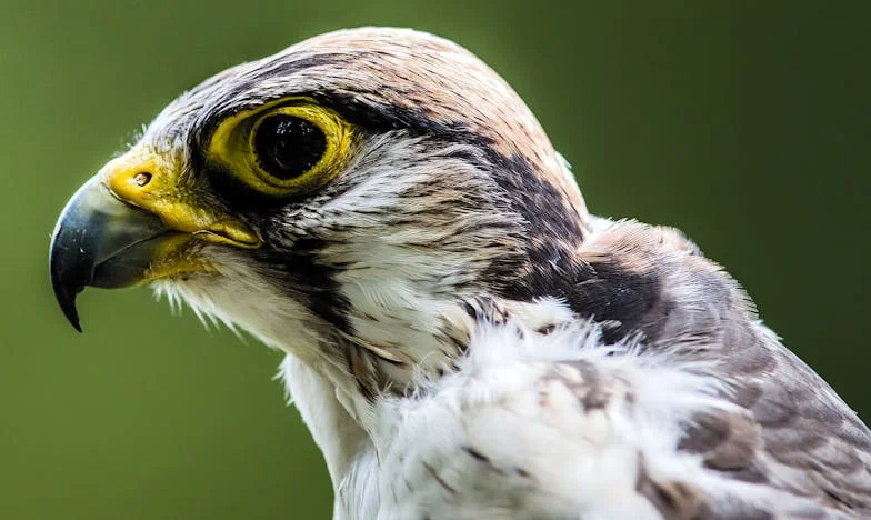 Когато майка ми отказа да гледа децата ми: История за разбитите очаквания и семейните рани