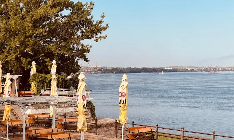 Когато мама знае най-добре: Борбата на един съпруг да си върне семейството