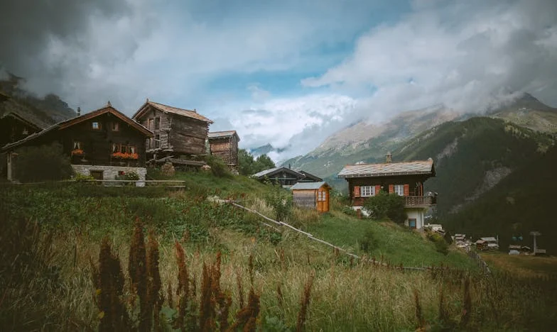 Когато парите разделят кръвта: Историята на една сестра, която не можа да помогне