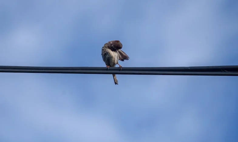Когато родителите си тръгнат, остава само тишината. Дали си заслужаваше инатът?
