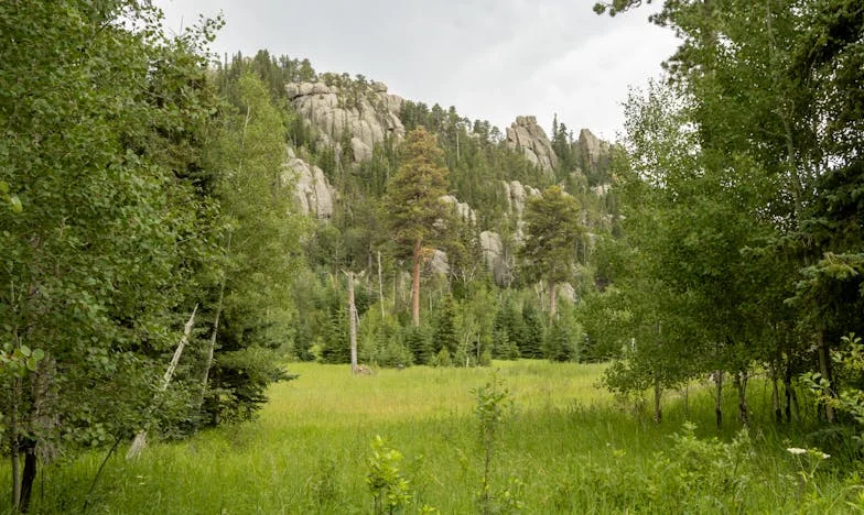 Когато съседството се превърне в бреме: История за граници и изгубено приятелство
