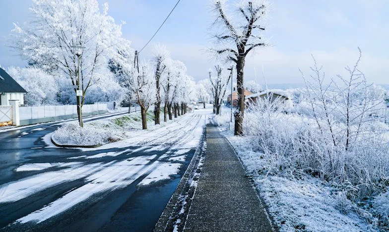 Когато свекървата поиска невъзможното: Историята на едно семейство между любовта и границите