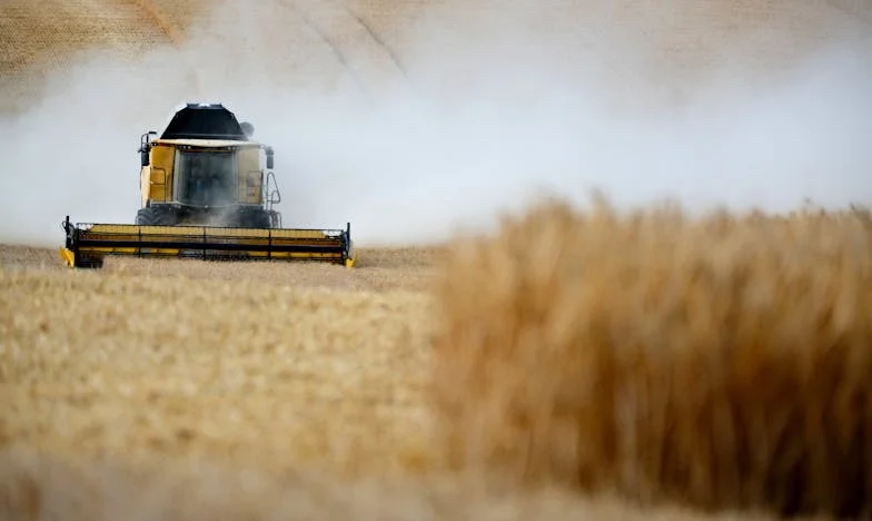 Когато животът избледнява: Историята на един художник от Провадия