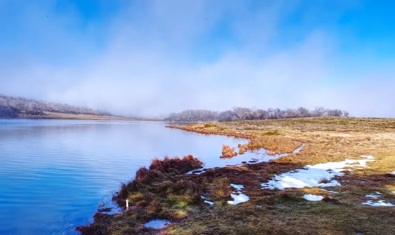 Лъжата на детегледачката: Една нощ, която промени всичко в село Долно Камарци