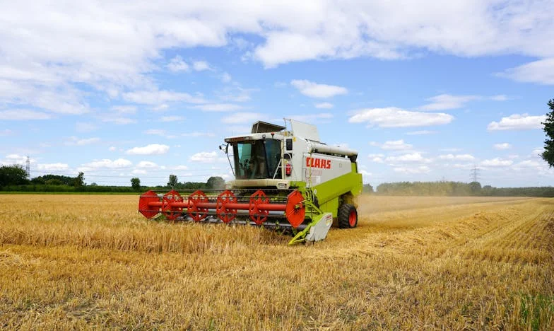 Майка ми, оплакванията и тишината между нас