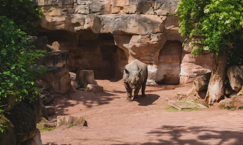 Между две майки: Лоялността на дъщеря и снаха в българско семейство