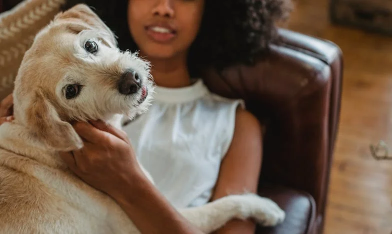 Мостове над мълчанието: Късното извинение на баща ми и трудният път към прошката