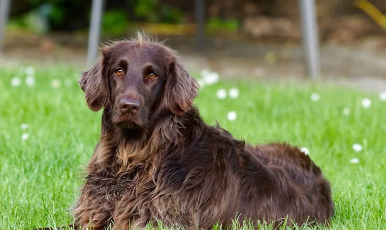 На 42 срещнах мъж, който ме накара да се замисля дали любовта не е просто илюзия