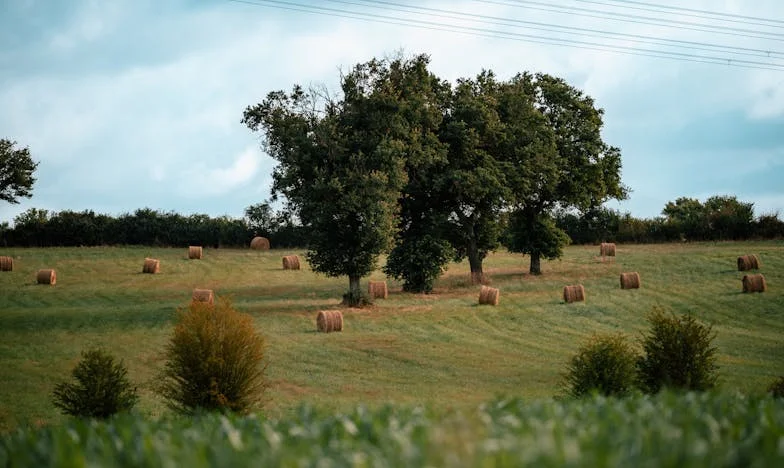 Не купувам тристаен, за да живея с тъща си