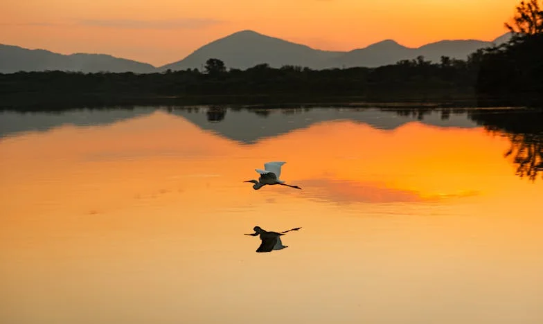 Ненужна в собствения си дом: Историята на една майка, която даде всичко за децата си