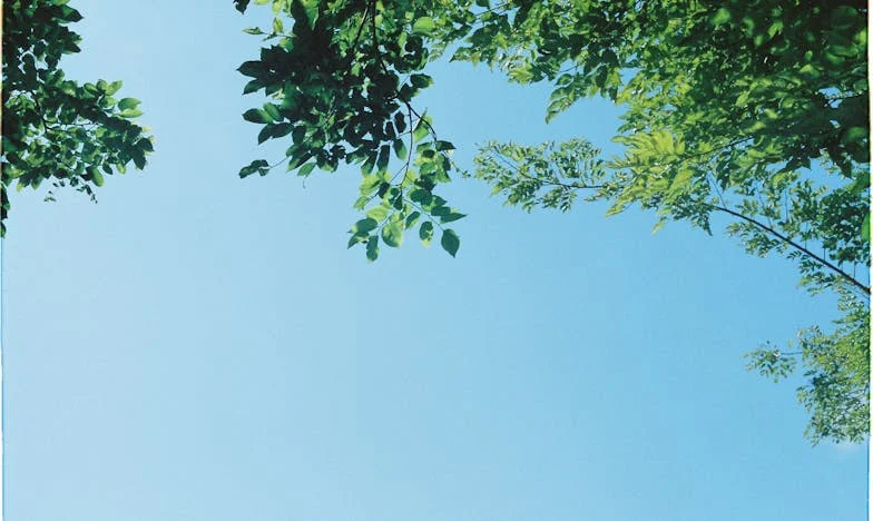 Неочаквани гости: Когато добротата на мъжа ми ме изненада