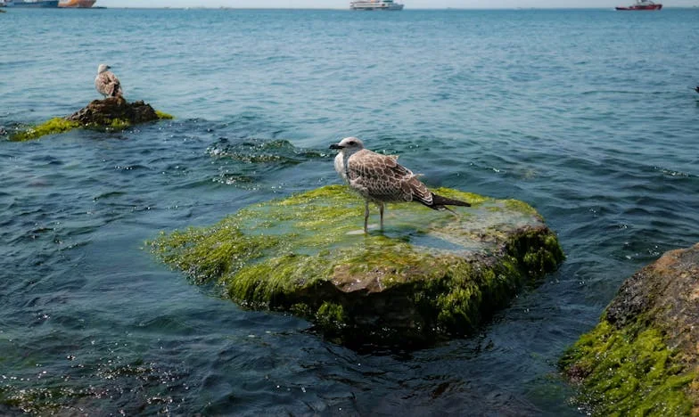 Никой не може да те накара да се чувстваш малък, ако не му позволиш: Историята на една българска майка