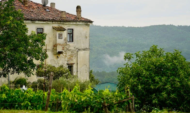 Оставена сама: Историята на една българска майка, забравена от децата си