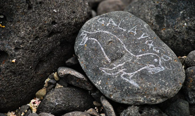 Пътят към дома: Историята на една майка и дъщеря, разделени от живота, но свързани от любовта