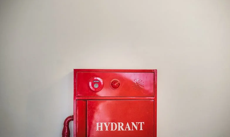 Пламъкът на спомените: История за спасение, тайни и прошка