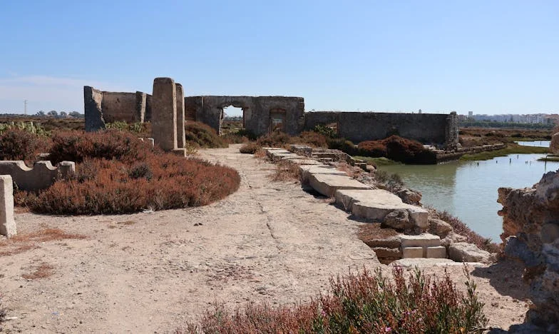 Последният подарък на Димитър: Когато любовта не стига