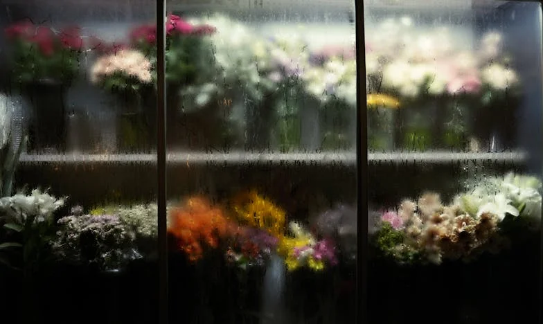 Пролетното почистване, което разтърси брака ми