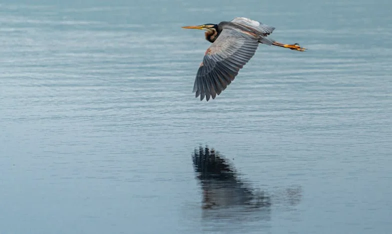 Разплитането на тайните: Историята на един брак на ръба