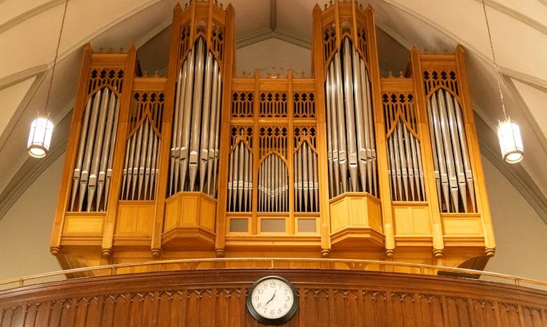 Семейни сенки: Когато обичта не е поравно