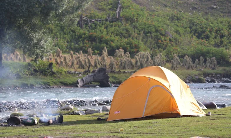 „Ти няма да ми диктуваш живота!“ – Историята на една българска свекърва и нейната снаха