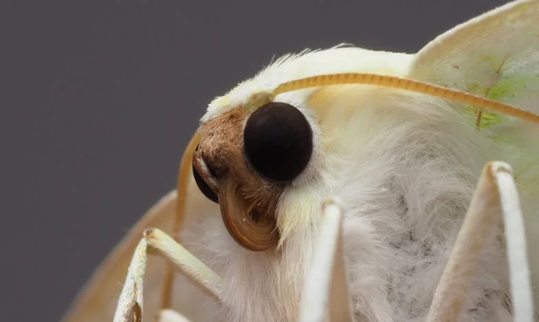 Брат ми, моят кръст: Един уикенд, който преобърна всичко