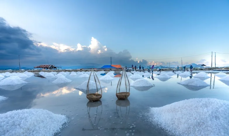 Да прекъсна пъпната връв: Моята битка за собствен живот и брак