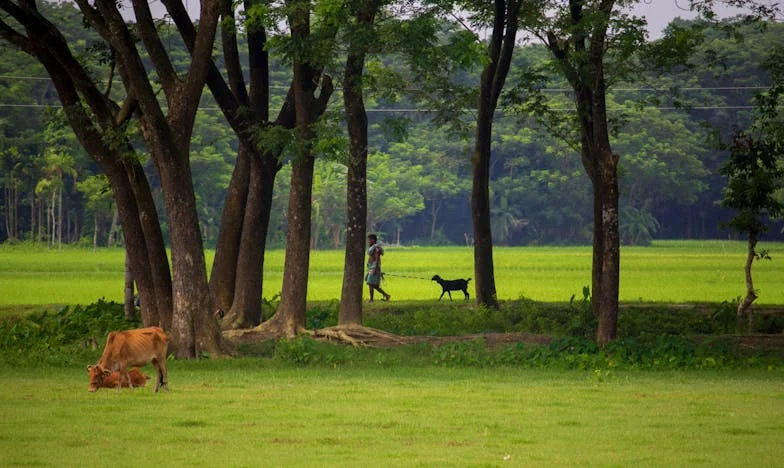 Дарът, който се върна: История за старата къща и изпитанията на едно българско семейство