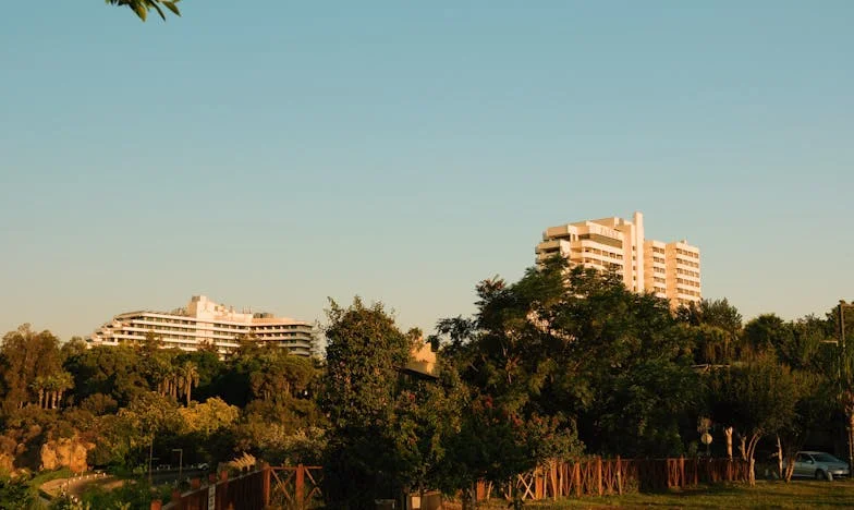 Доволна ли е любовта, когато парите говорят? Историята на едно лято, което разцепи семейството ми