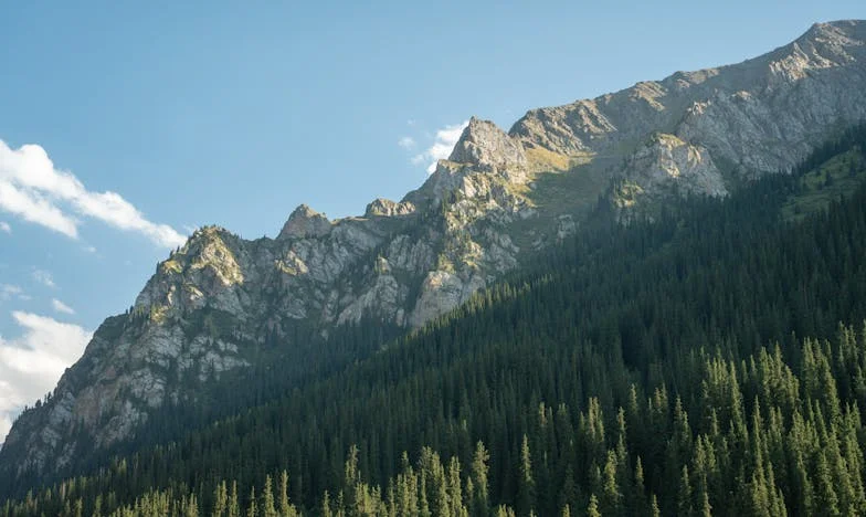 Година след година, тъщата и тъстът ми стават все по-натрапчиви