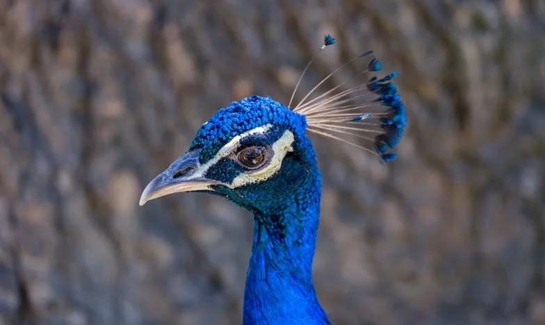 Границите на любовта: Историята на Милена за уважението и самоуважението