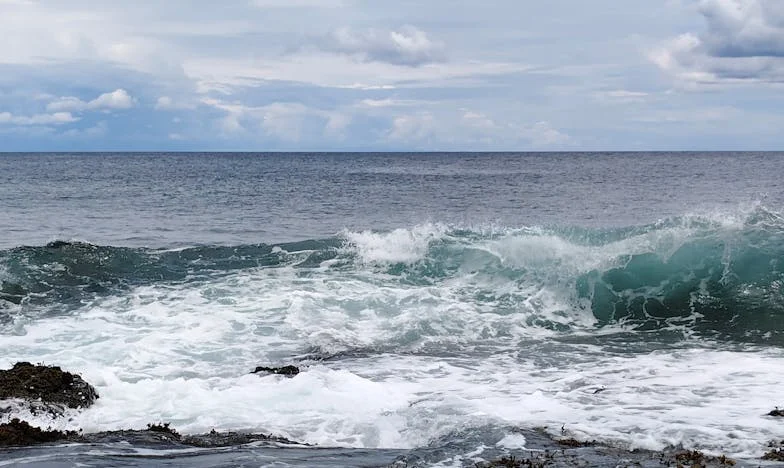 „Имаш един месец да напуснеш апартамента ми!“ – изречението, което преобърна живота ми