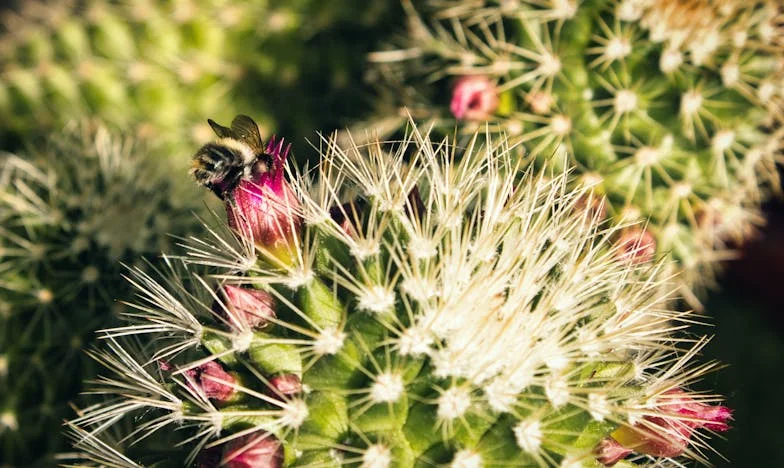 Когато любовта към внуците се превърне в изпитание: Историята на една баба