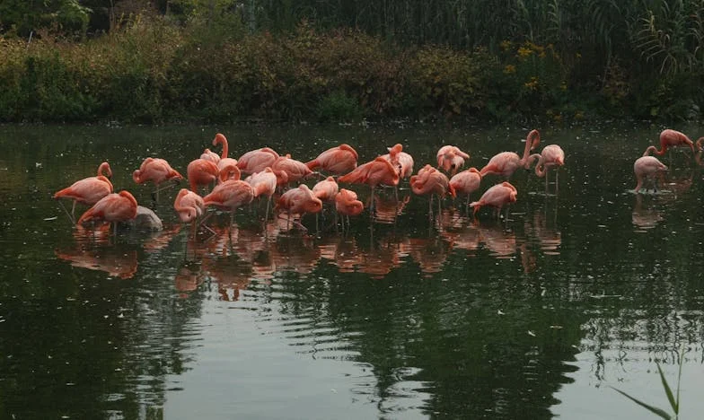 Когато любовта не е еднаква за всички: История за несправедливостта в семейството