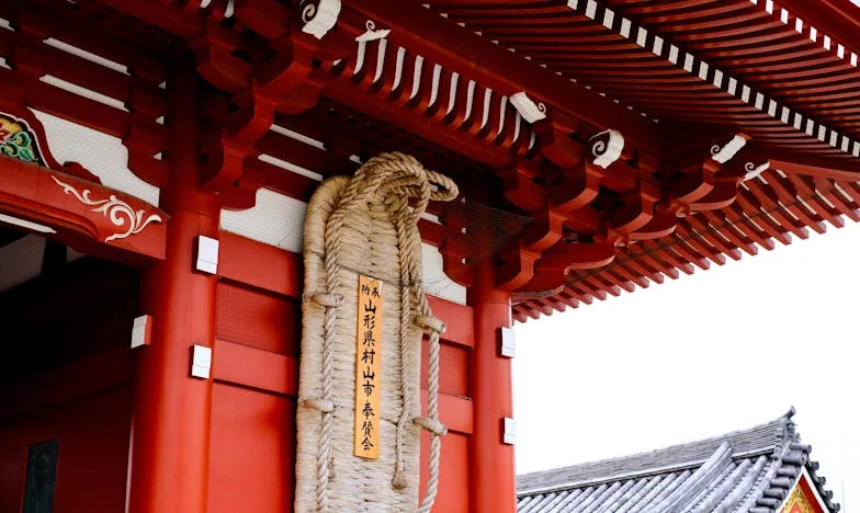 Когато синът ми се върна у дома: между миналото и настоящето